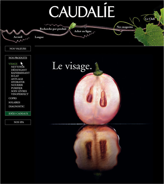 <font color="#aaa7a6">Introduction visage.</font>