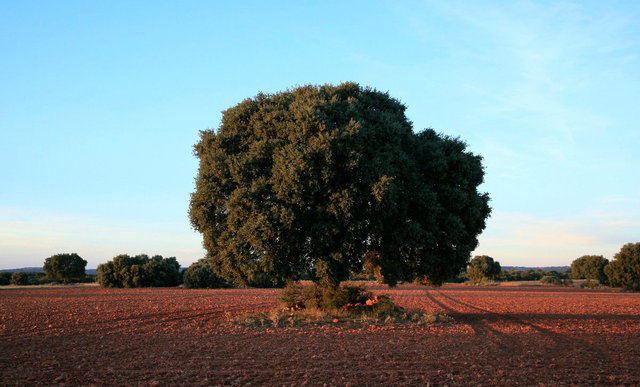 la mancha - rode aarde