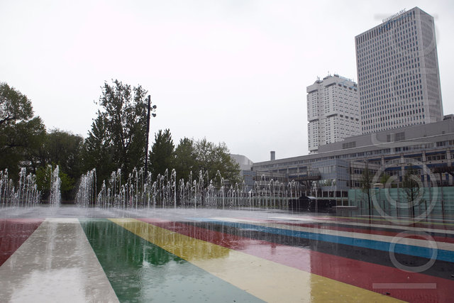 _MG_8515.jpg