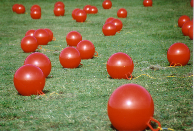bollen4.jpg