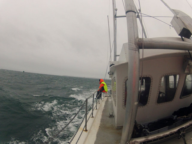 GOPR2295.jpg