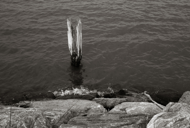 Hudson River Pilings