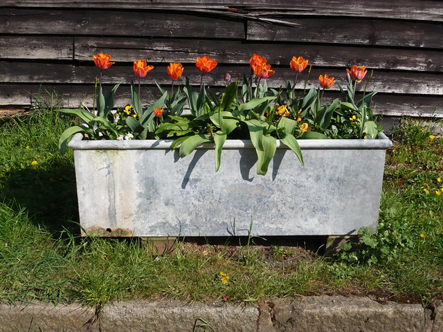 Sheepcote Lane Flower Tubs (3) VB.JPG