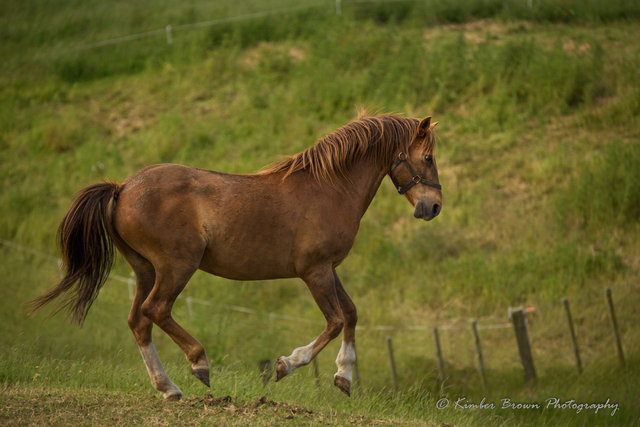 060C9067-Edit.jpg