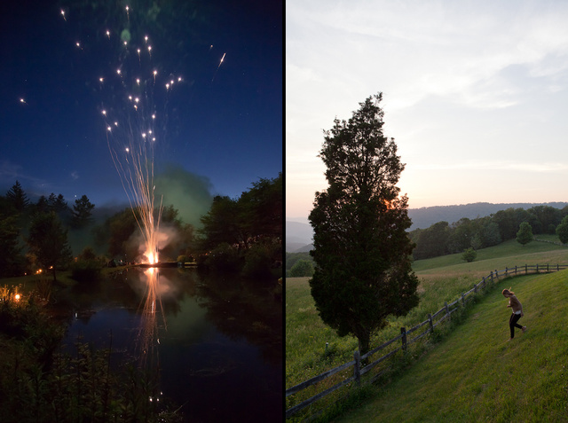 fireworks tree pair.jpg