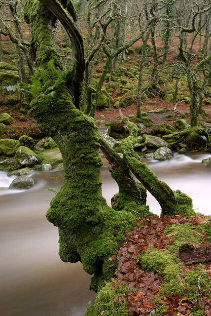 River Plym