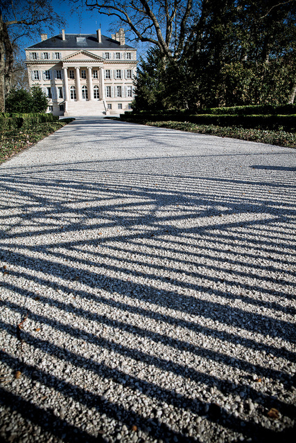 Margaux78 © Laurent Gazal.jpg