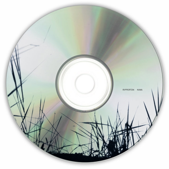 CD variation 2