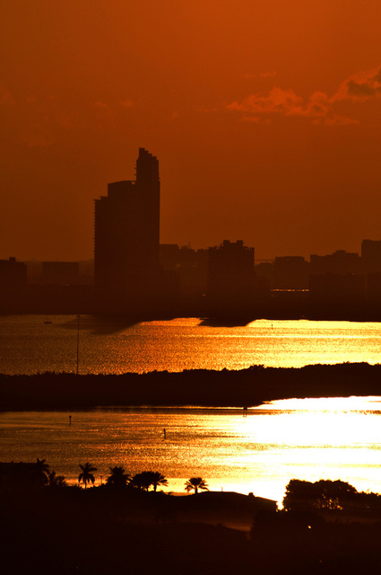 Miami1.jpg