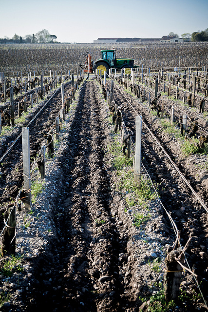 Margaux22 © Laurent Gazal.jpg
