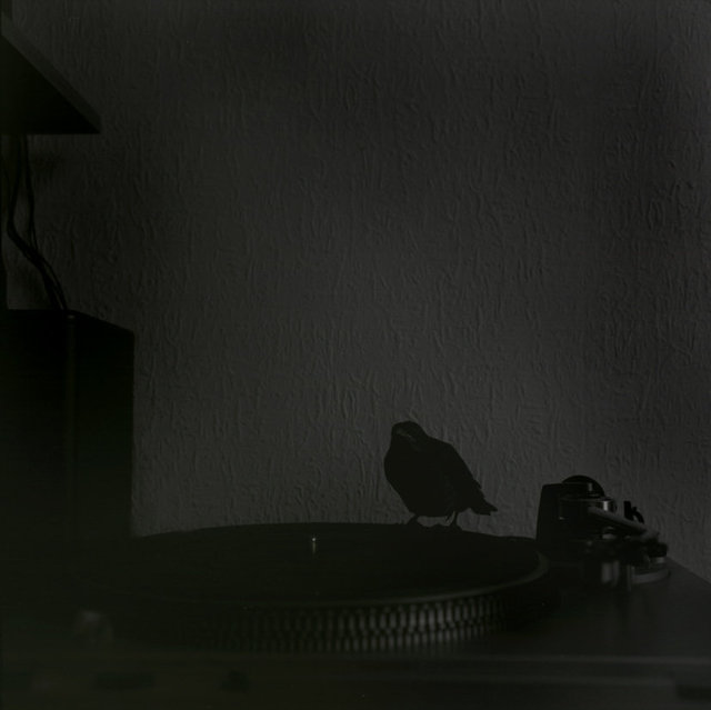 31-03-99II_12low©VLorenzo.jpg
