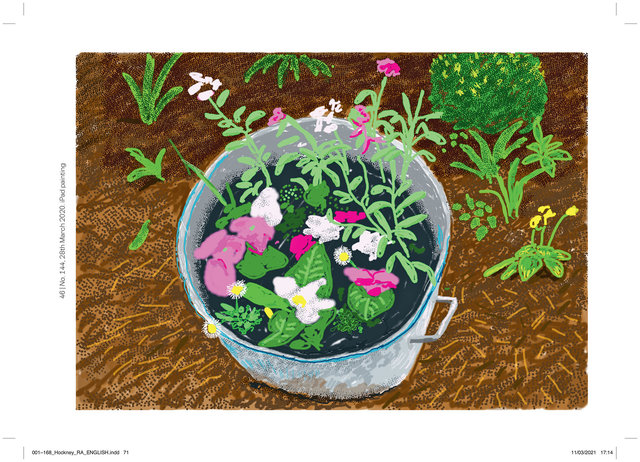 071_RA_HOCKNEY_ENGLISH.tif