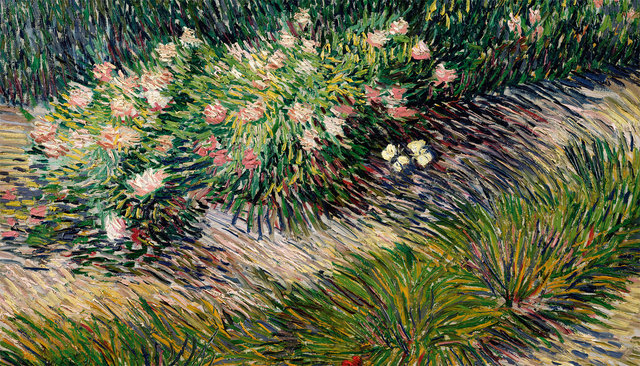 The real Van Gogh - The artist and his letters