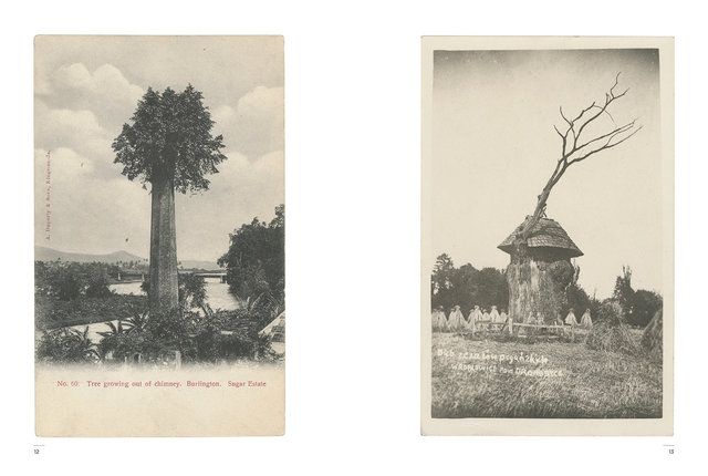Kasmin's Postcards - Odd