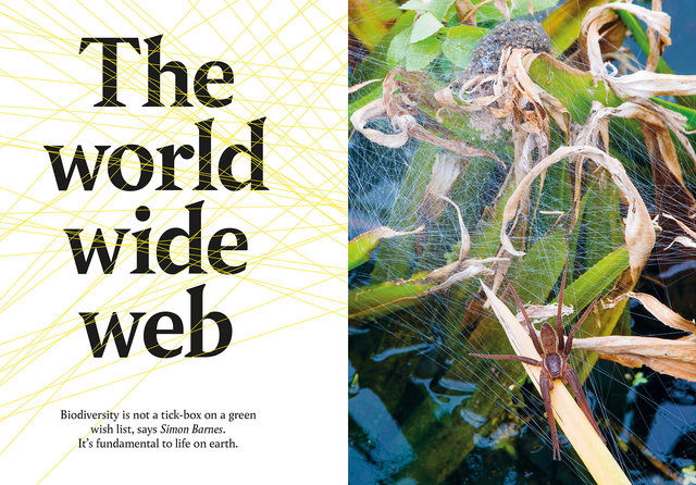 Tortoise Quarterly Issue 04