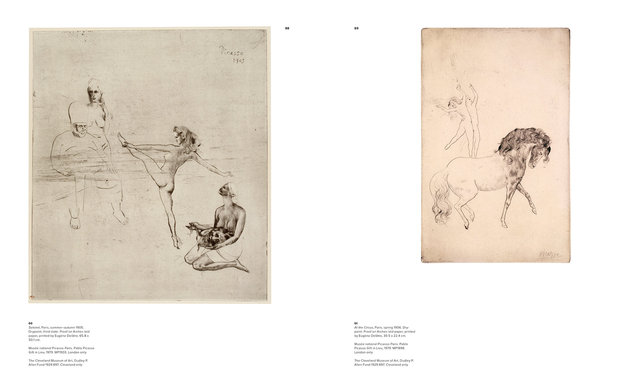 Picasso and Paper