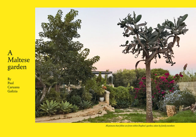 Tortoise Quarterly Issue 04