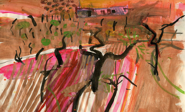 Barbara Rae - Sketchbooks