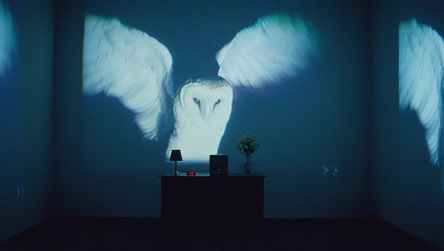 Bill Viola / Michelangelo - Life Death Rebirth