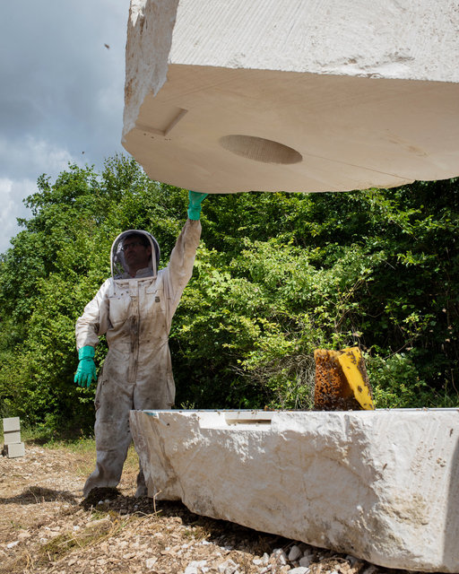 Bee's bunker, 2015. Vent des Forêts