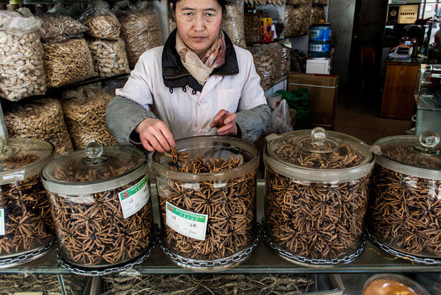 CTM Vendor in the TCM district in Kunming, Yunnan.