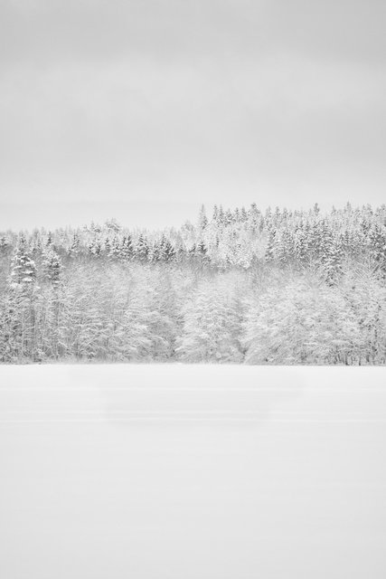 Snow IV - On the Lake