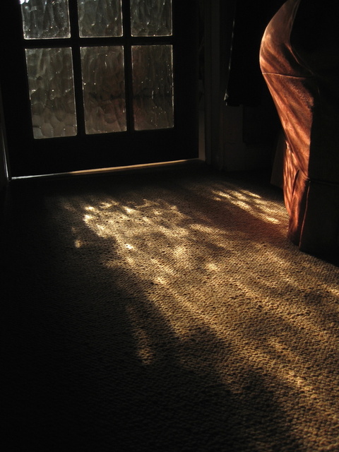 FIrst light . 6AM. Awake to meet it on the carpet, desire for it to encompass you.