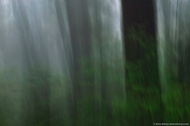 emoriya_homelandscape_web_Lost_in_negligence.jpg