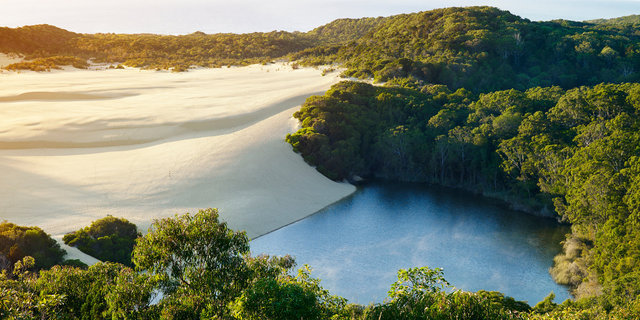 Wild-Swimming-Australia©Swimming-Hole_Queensland_Fraser-Island_lake-Wabby_074_Andy-lewis_PrintCrop.jpg