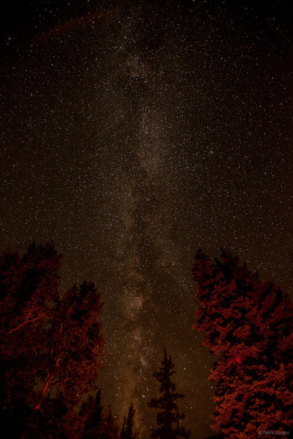 2313August 20, 2012untitled shoot.jpg