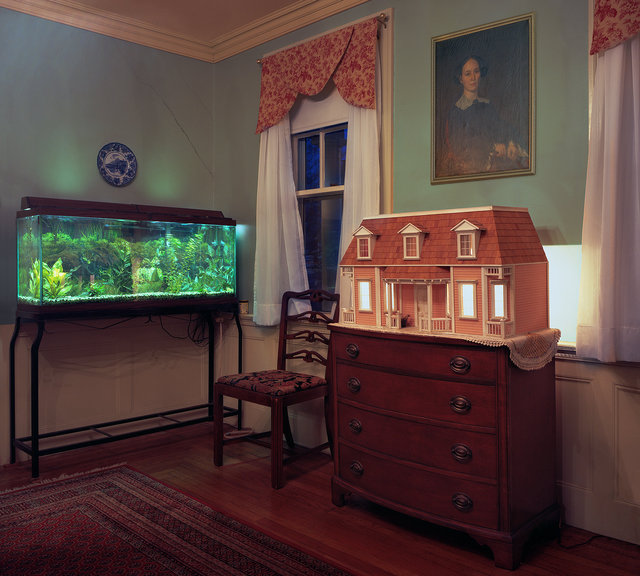 Aquarium and dollhouse, 2017