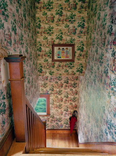 Plantation wallpaper, 2016