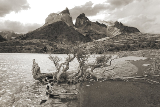 From Lake PehoƩ