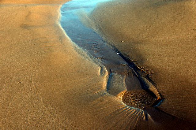 Delta del Ebro_0014.JPG