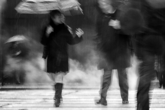 foggy-umbrellas.jpg