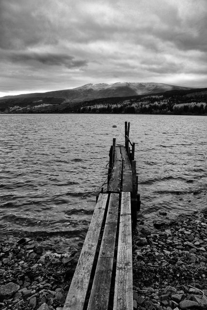 IMG_3159 copy.jpg