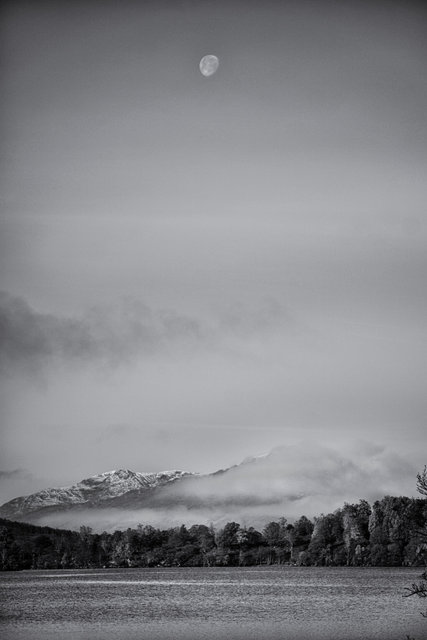 IMG_2332 copy.jpg