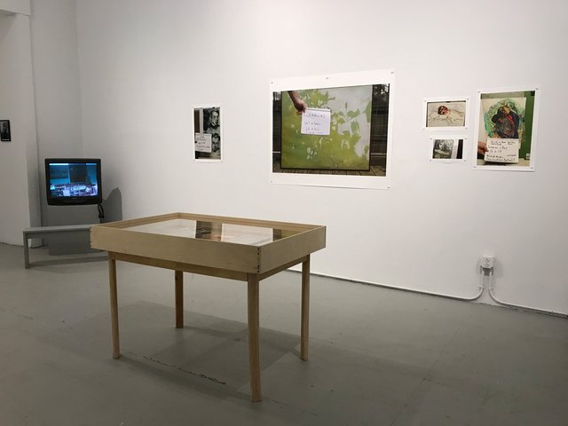 "Intimate Zoo" MFA Thesis Exhibition Bard MFA Program Red Hook, NY 2017