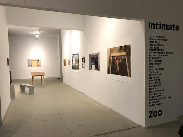 "Intimate Zoo" MFA Thesis Exhibition Bard MFA Program Red Hook, NY 2017