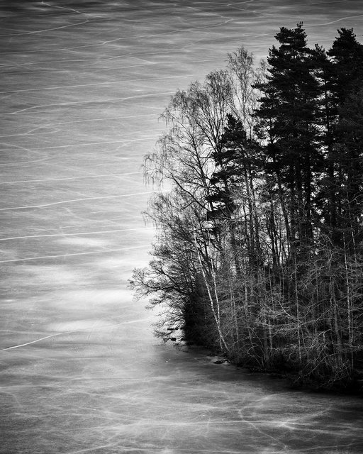 Web of Ice