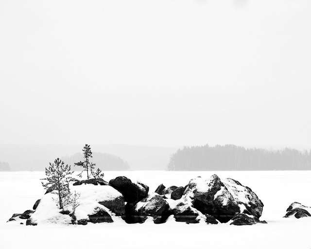 Rocks and Small Pine in Winter