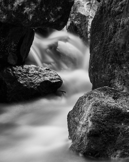 Small Rapid