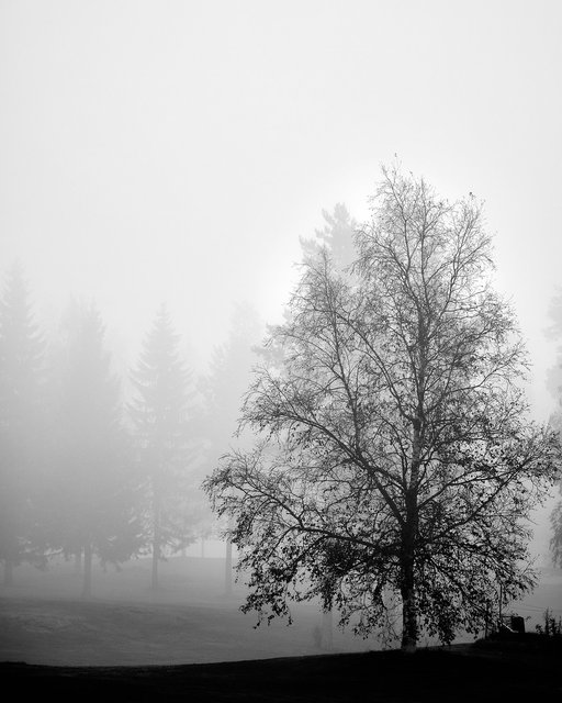 2018-09-05-Tahko-0009.jpg