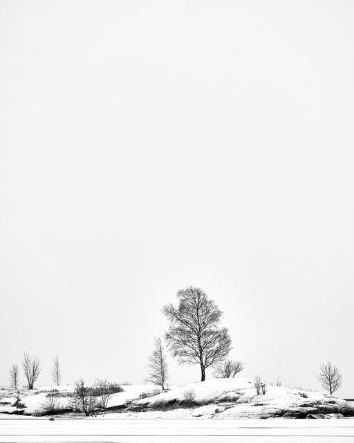 City Winter