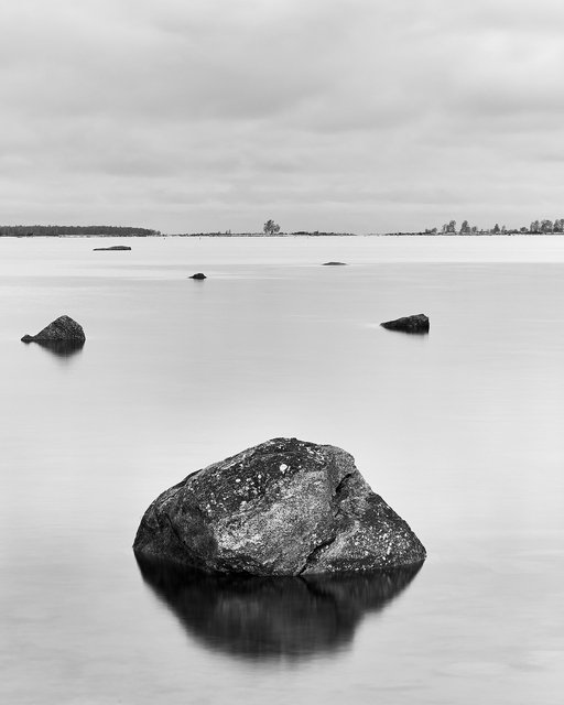Stone and Tree