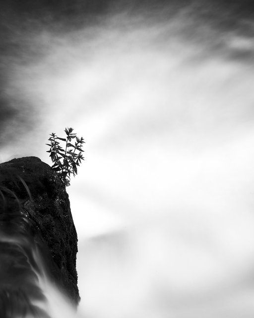 Rock, Shrub and Water
