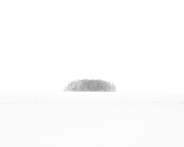 Winter Island