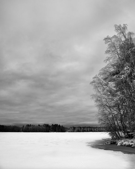 Winter Afternoon I