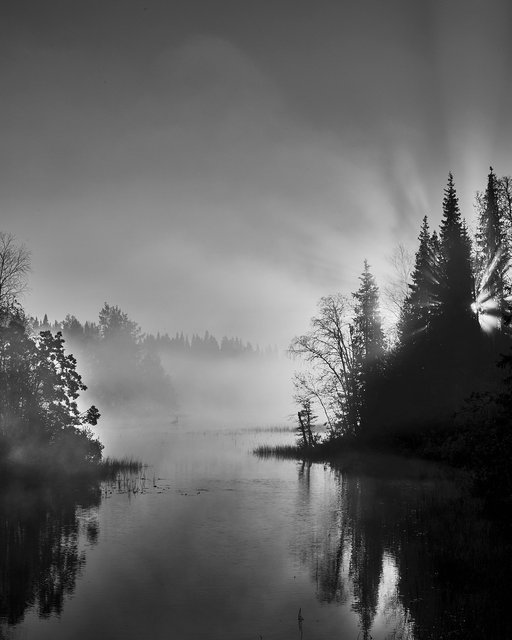 Sunrise in Fog