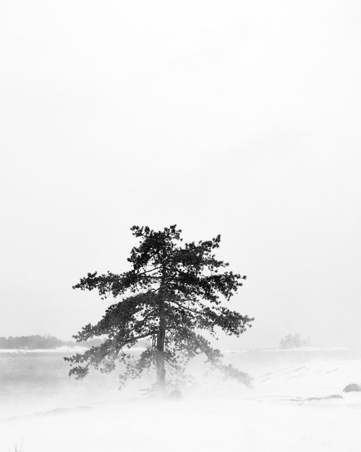 Snowstorm